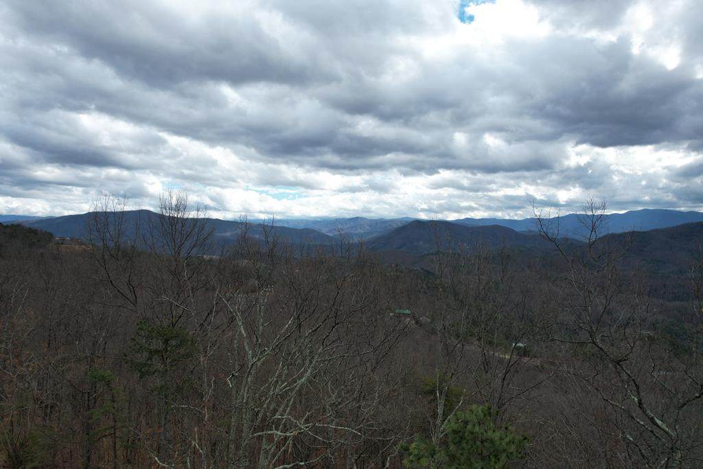 Lot 117 Settlers View Lane - Photo 1