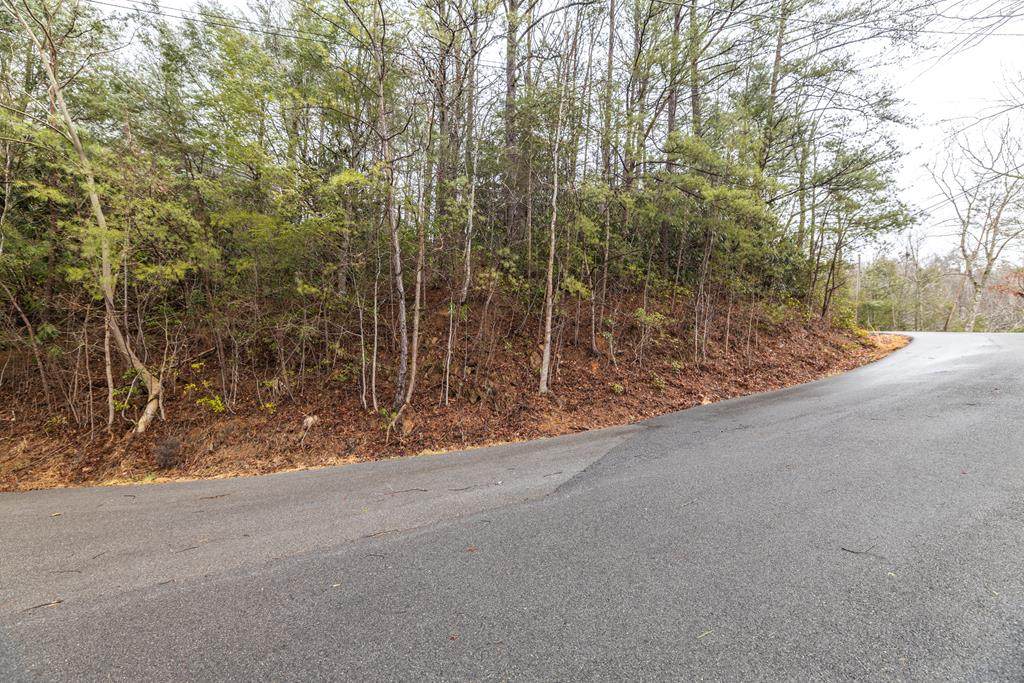 Grey Fox Trail - Photo 1
