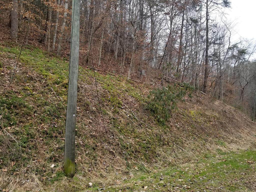 LOT 19 Larix Way - Photo 1