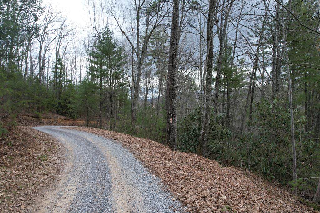 Lot 37 Joy Way - Photo 1