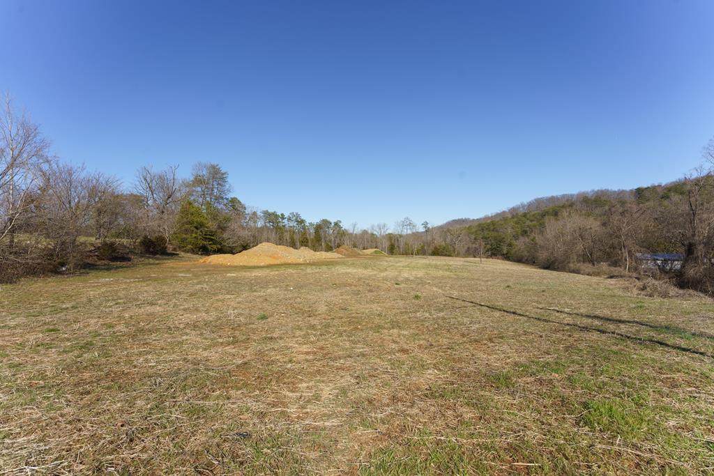 0 Chapman Highway - Photo 1
