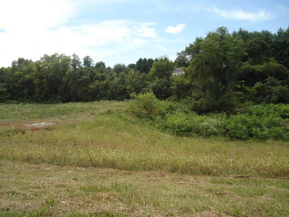 Lot 3 & 4 Winfield Dunn Parkway - Photo 1