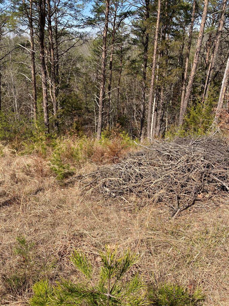 Fox Ridge Way - Photo 1