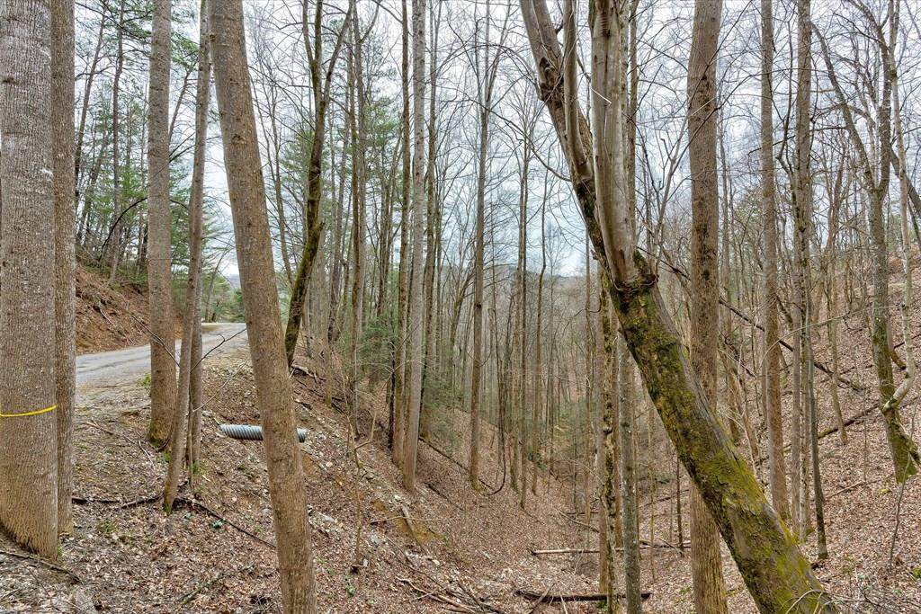 Lot 13 Sunset Road - Photo 1