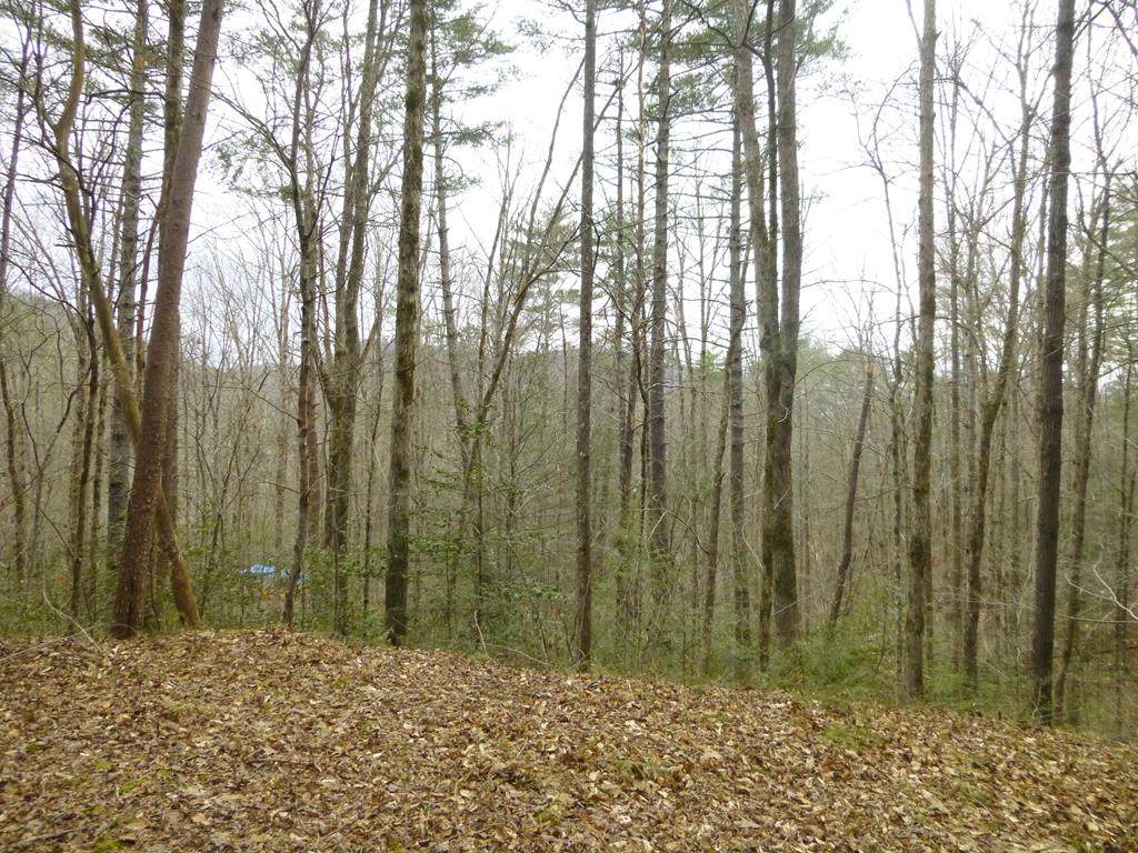 Lot 4R3 Waldens Creek Rd. - Photo 1