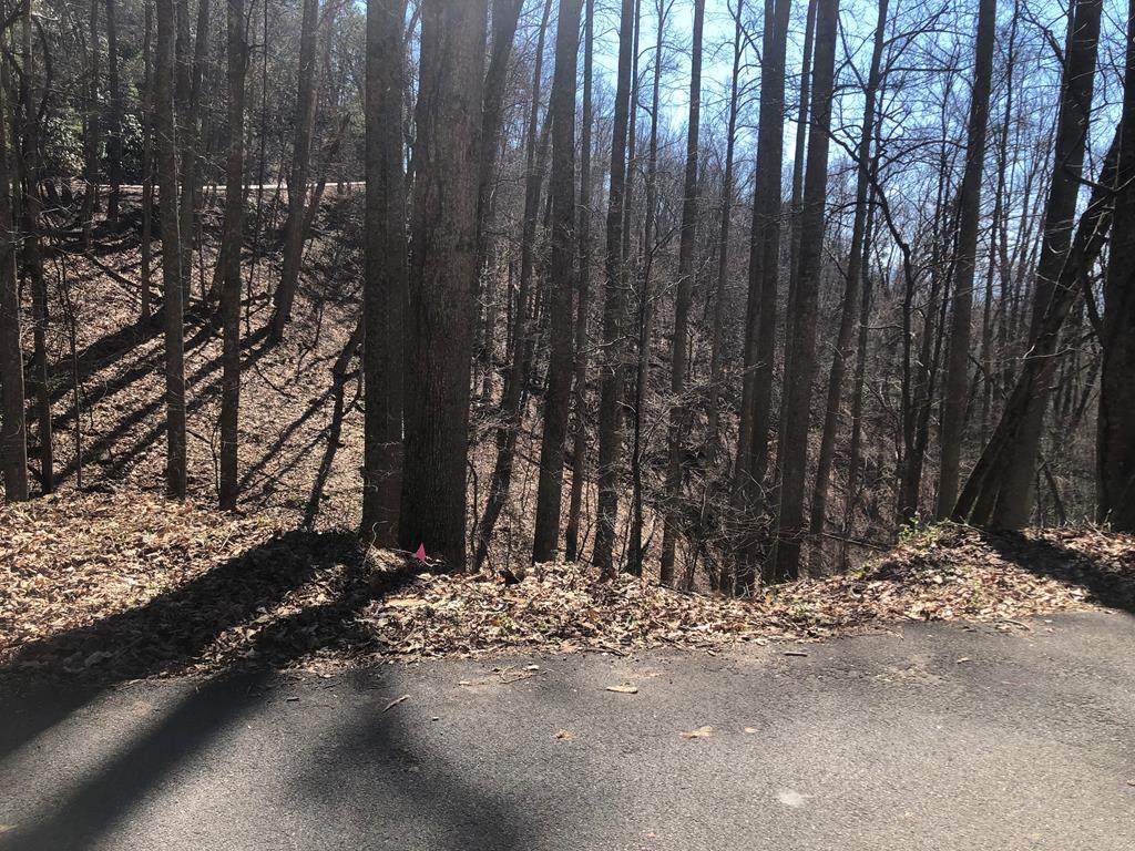 Lot 13 Alpine Drive - Photo 1