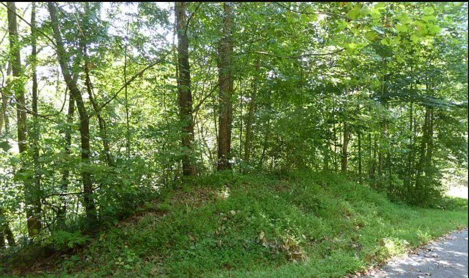 Lot 38 C Ash Branch Circle - Photo 1