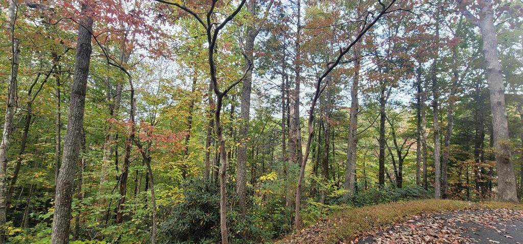 Lot 21 Moody Dr - Photo 1