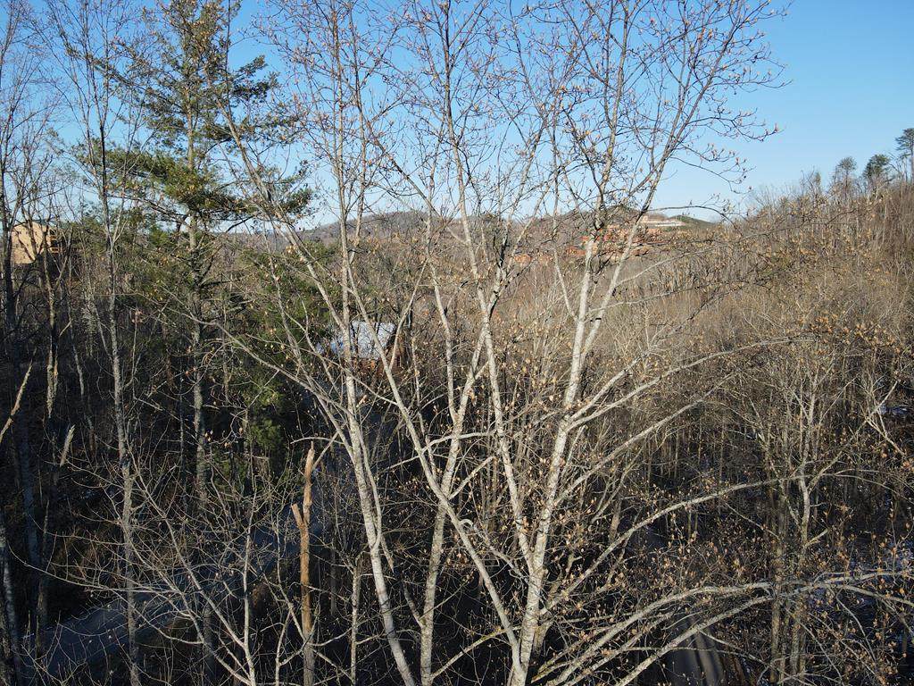 Lot 510 Crooked Ridge Rd - Photo 1