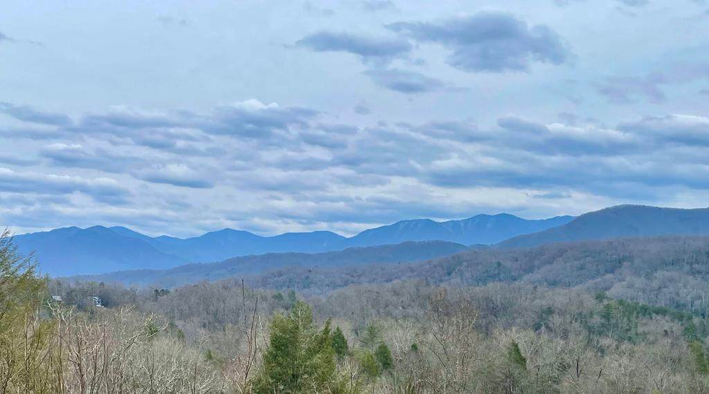 Crest Rd - Photo 1