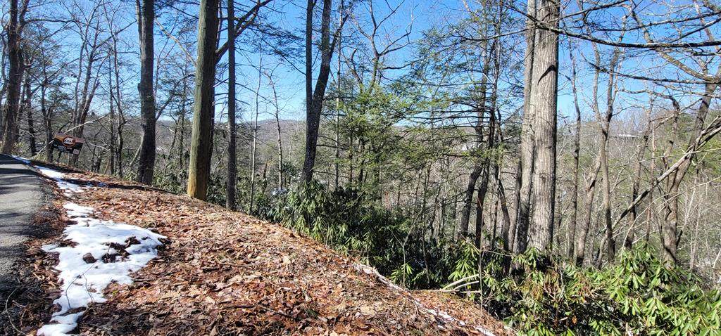 Lot 7 Ownby Cir - Photo 1