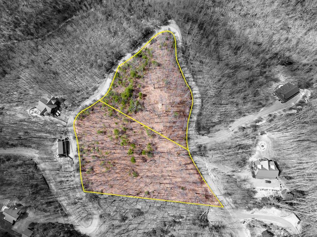 Lot 81 & 82 Big Bear Ridge Road - Photo 1