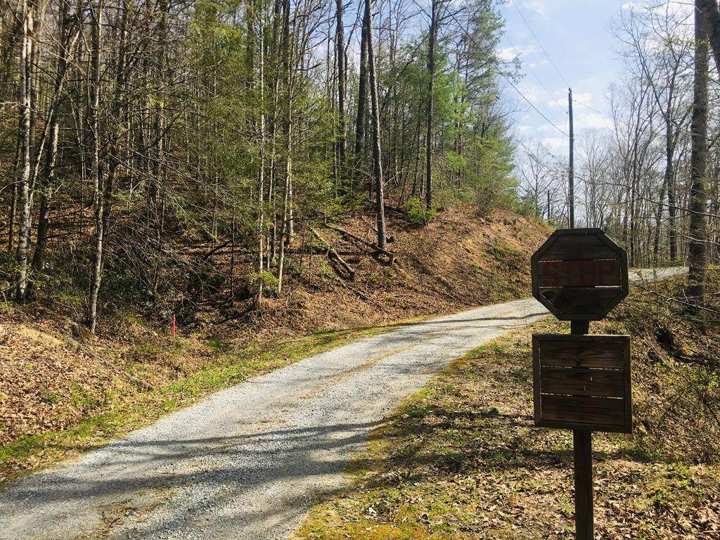 Lot 6 Lumber Jack Way - Photo 1