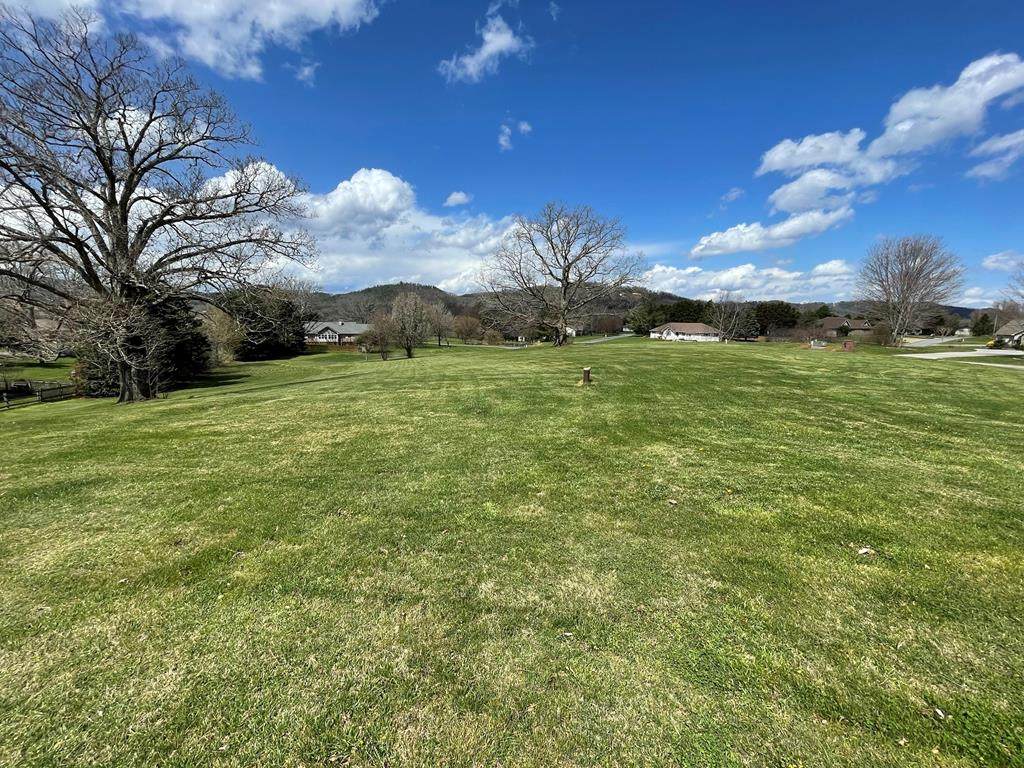 Lot 5 Buck Hill Dr - Photo 1