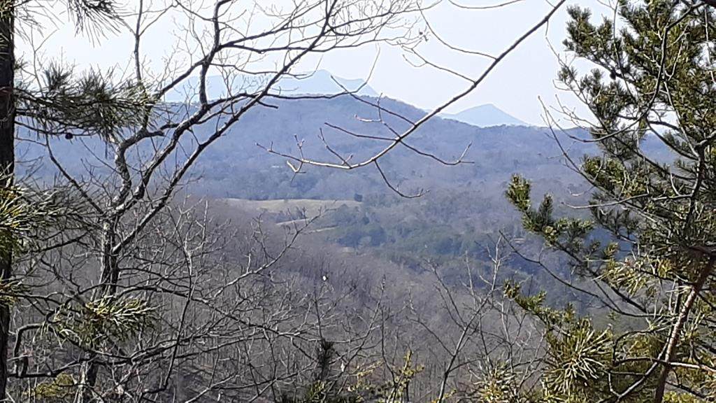 Lot 34 Mountain Trail Ln - Photo 1