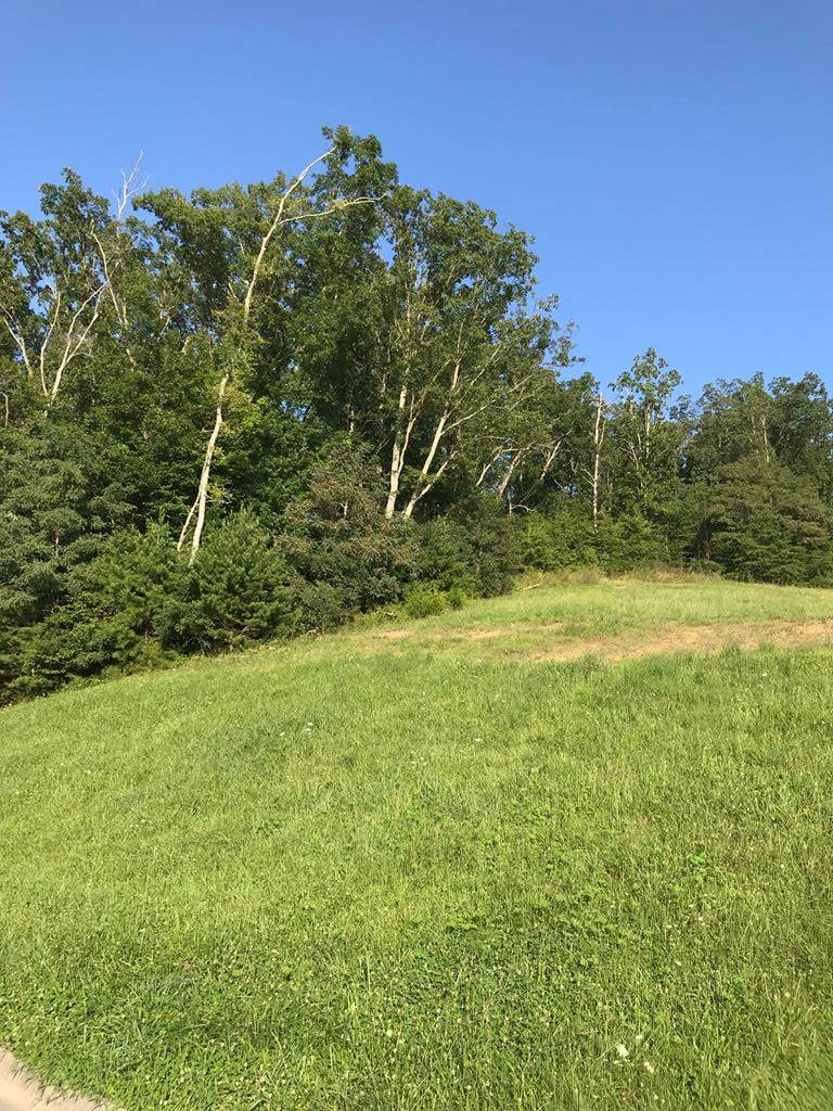 6330 Coves Edge Trail - Photo 1