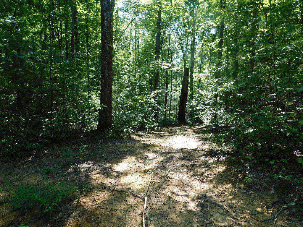 Jones Cove Rd-Off - Photo 1