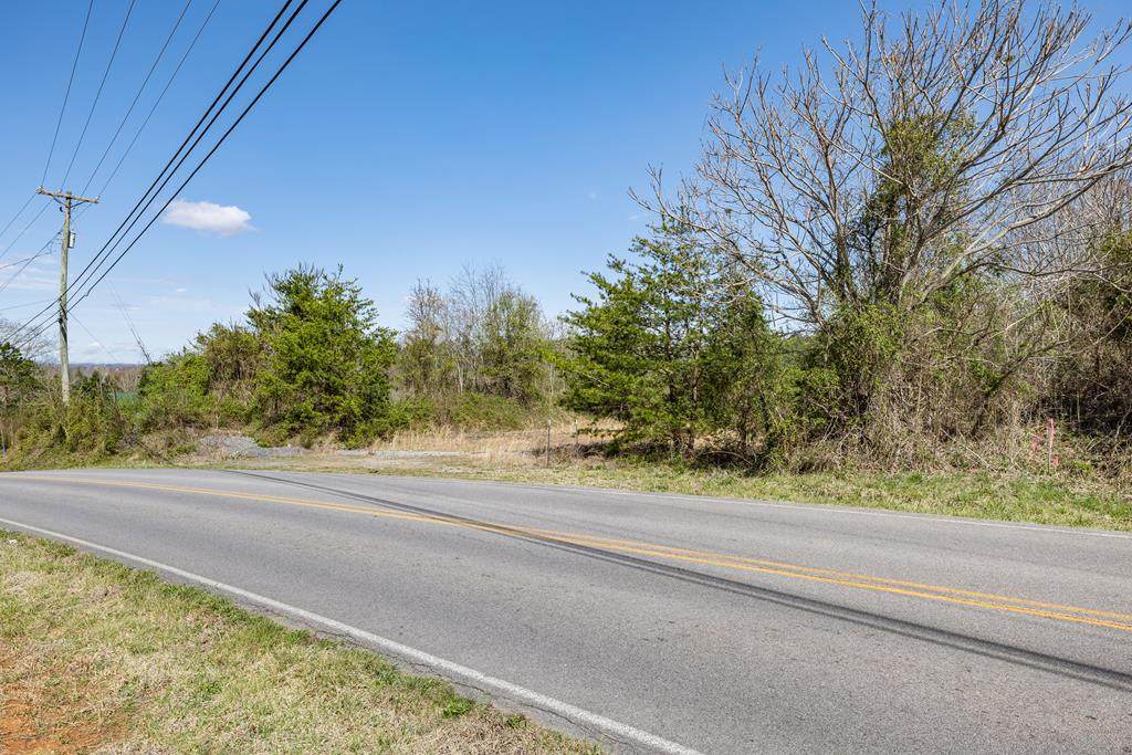 Lot 4R2 Piney Road - Photo 1