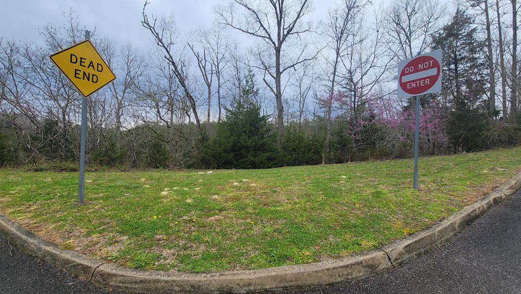 Eagle Springs Rd - Photo 1