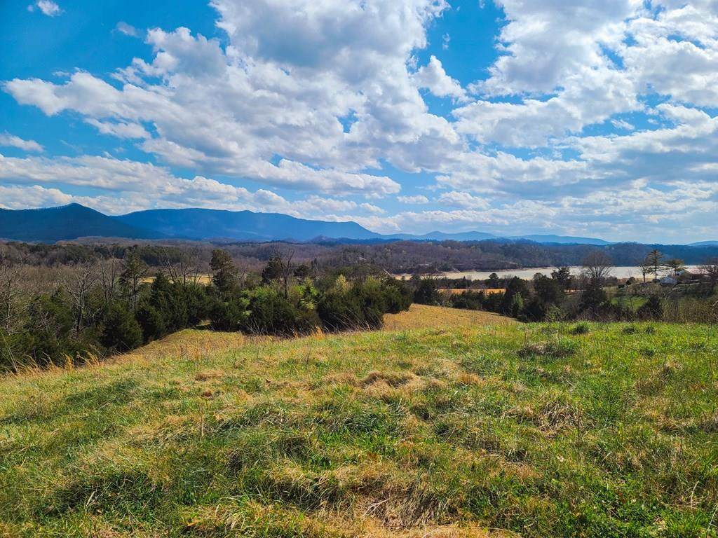 Parcel 46.24 Swannsylvania Rd - Photo 1