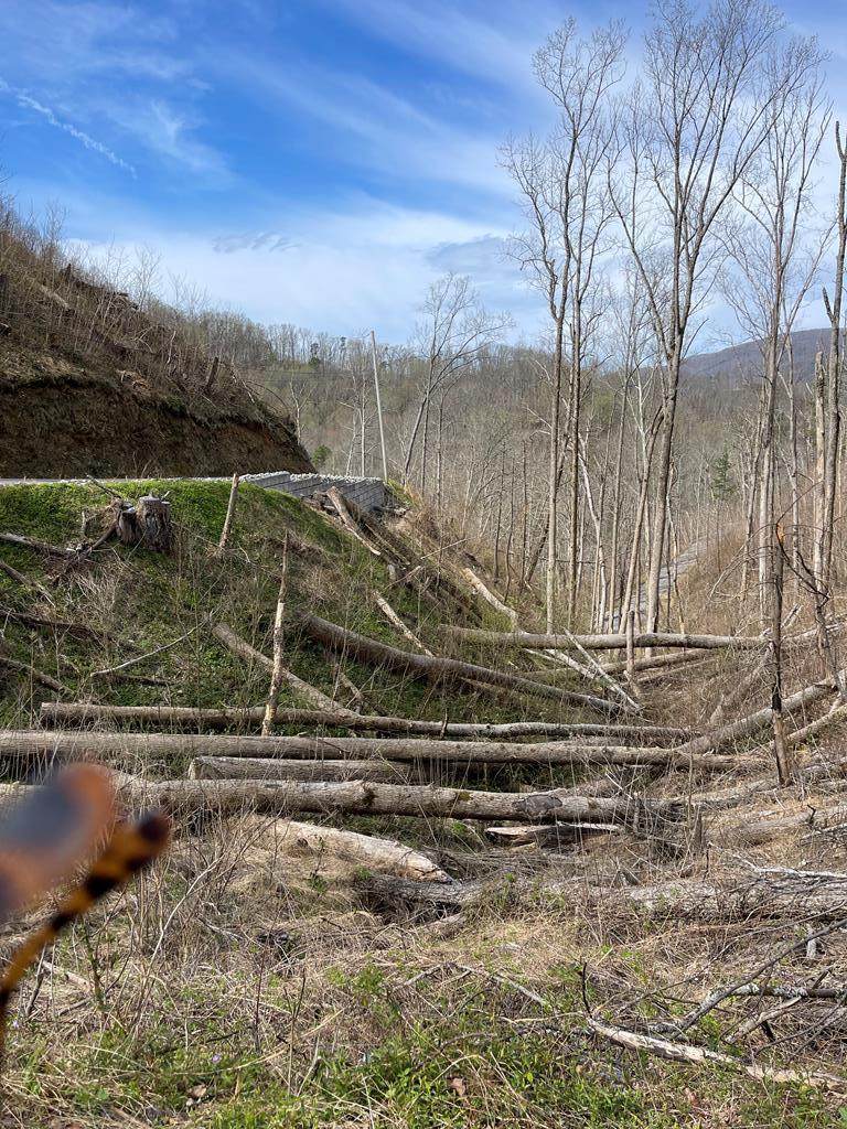 Little Fox Rd - Photo 1
