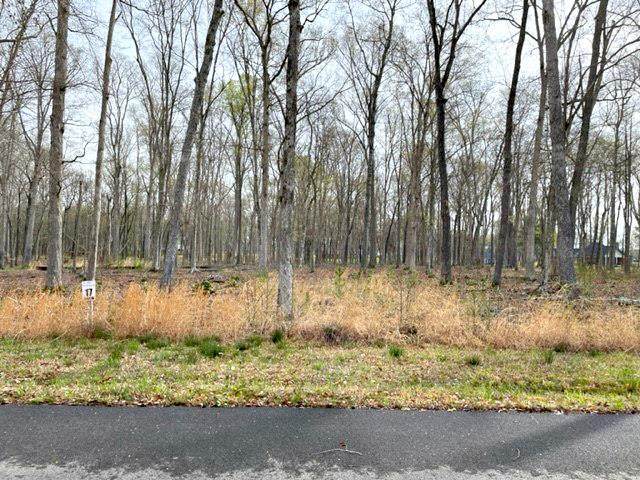 Lot 17 Peaceful Point - Photo 1