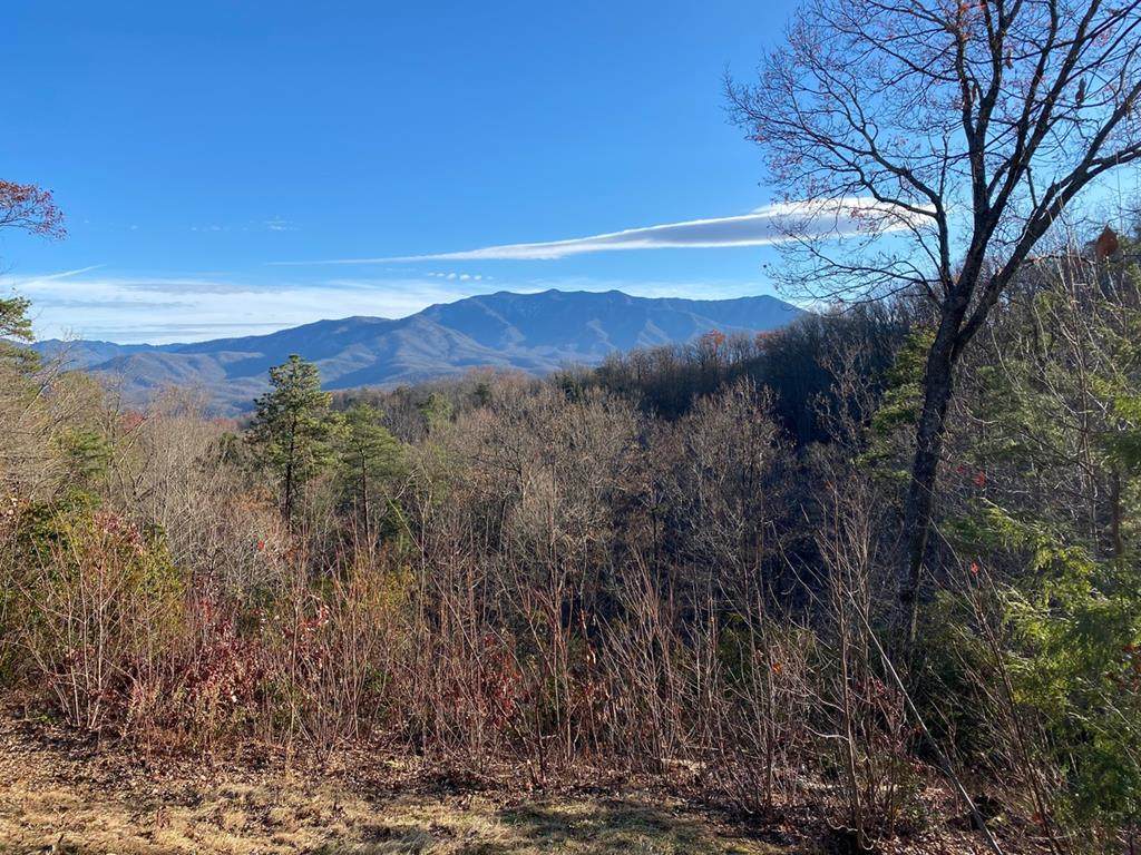 736 Maple Hill Way - Photo 1