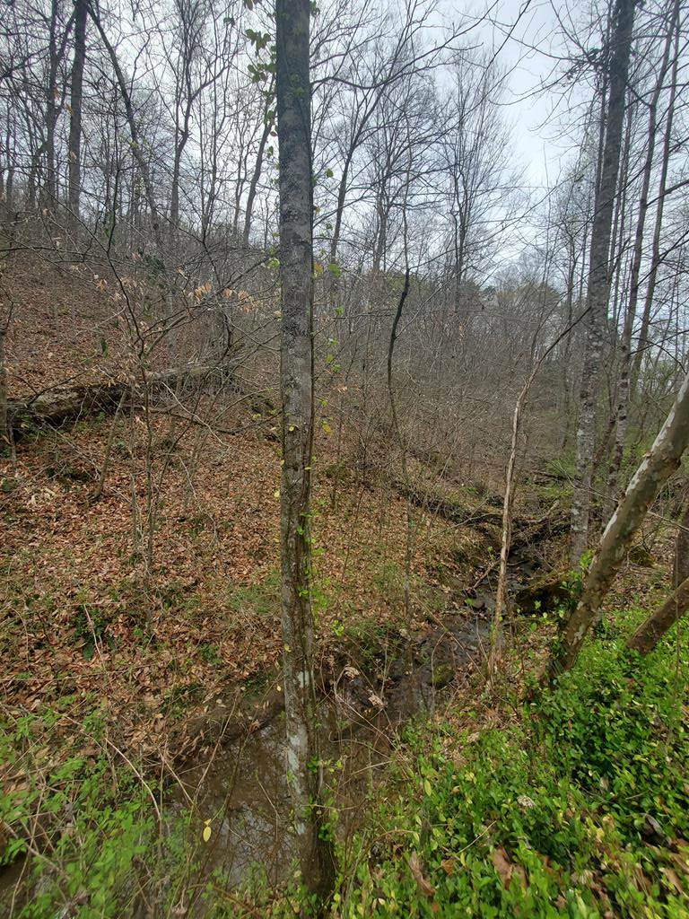 Lot 109 Smoky Mtn Way - Photo 1