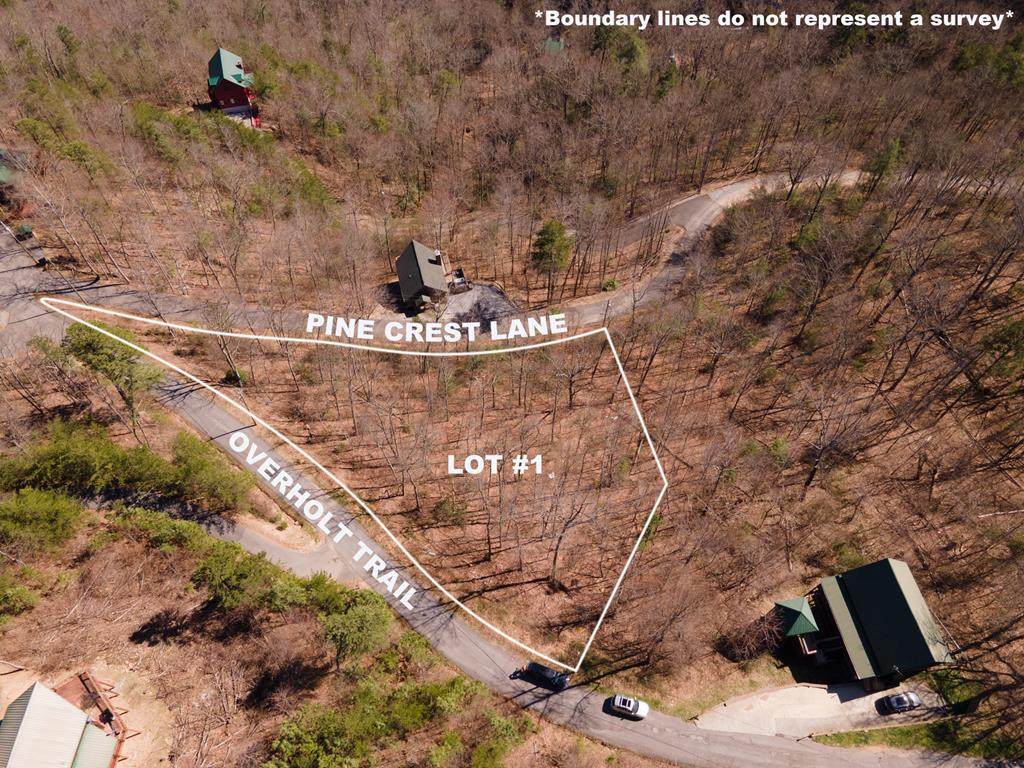 Lot 1 Overholt Trail - Photo 1