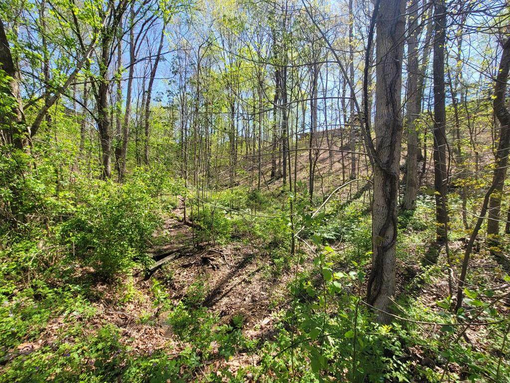lot 19 Lakeside Dr - Photo 1