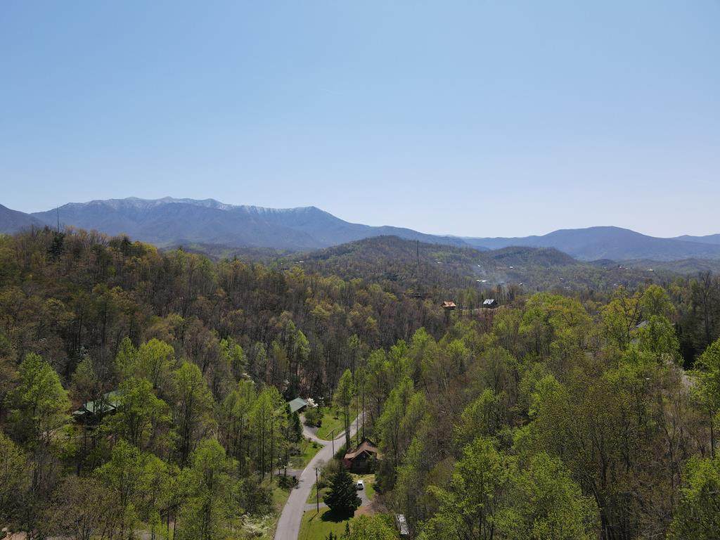 Parcel 41&48 Hidden Valley Rd - Photo 1