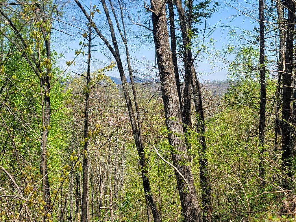 Lot 579 Crooked Ridge Rd - Photo 1
