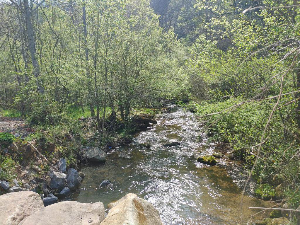 3854 Lindsey Gap Rd - Photo 1