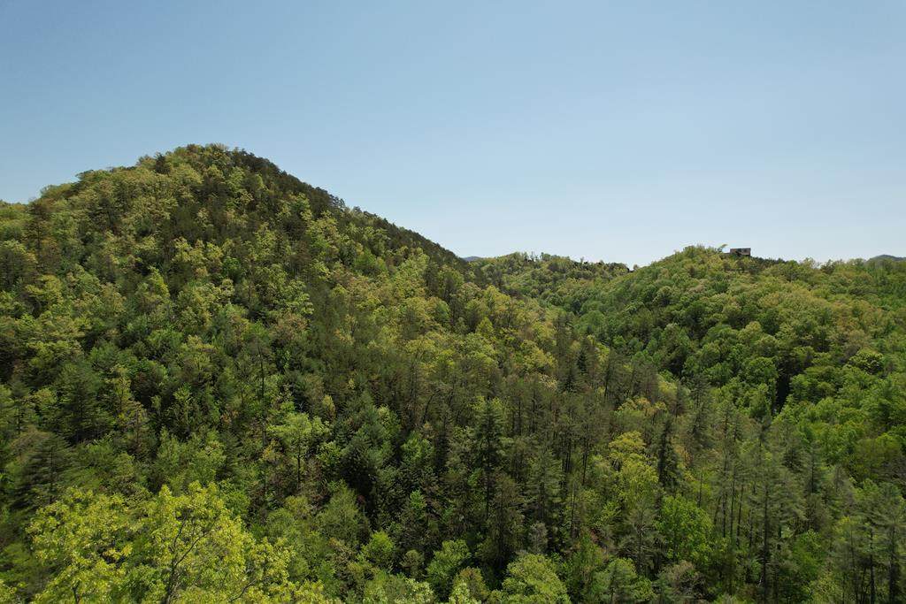 Lot 97E Black Powder Lane - Photo 1