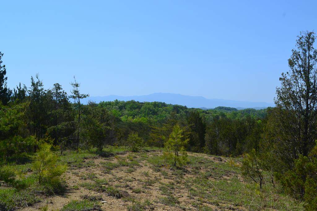Lot 11 Buck Horn Rd - Photo 1