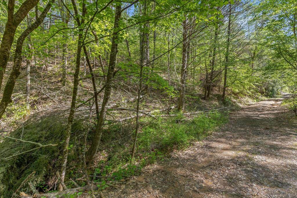 1001 Parton Woodcraft Rd - Photo 1