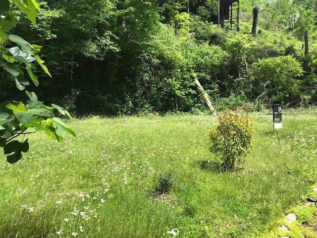 235 Silverbell Lane - Photo 1