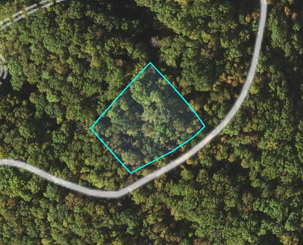 Lot 157 Deerfoot Rd - Photo 1