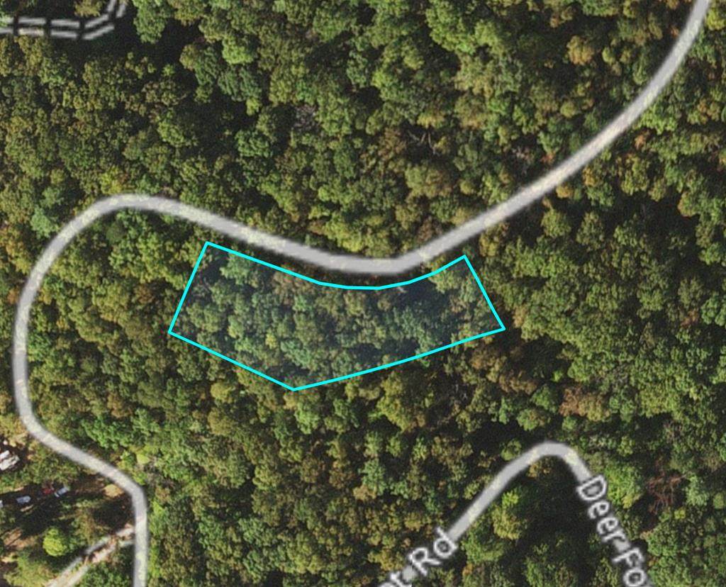Lot 193&201 Deerfoot Rd. - Photo 1