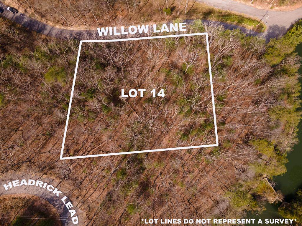 Lot 14 Willow Lane - Photo 1