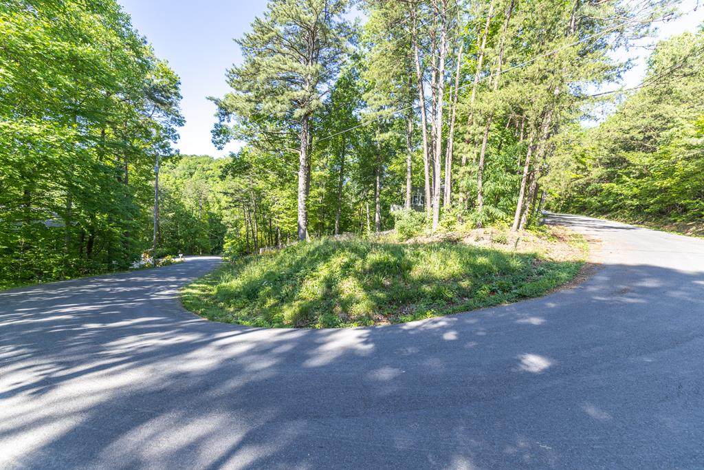Lot 33 Tanrac Trail - Photo 1