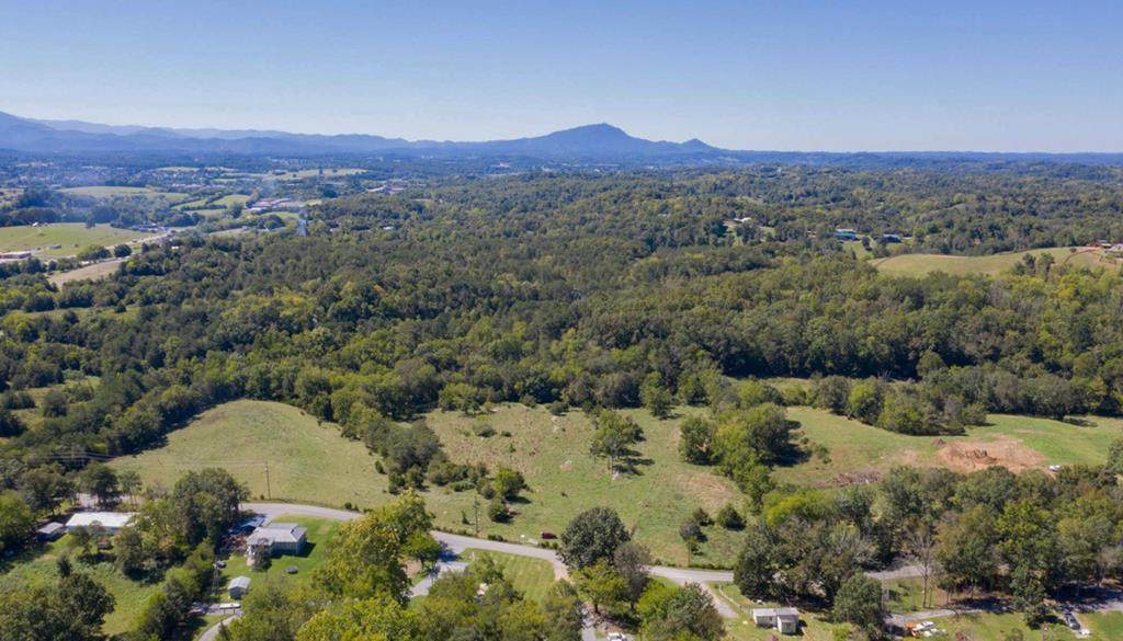 39.34 Acres Happy Hollow Ln - Photo 1