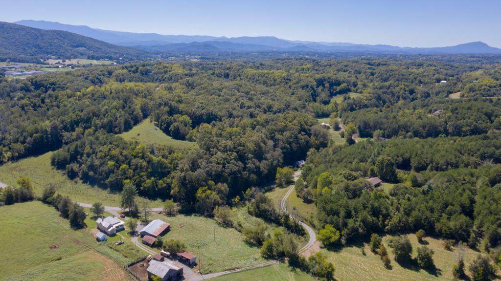 36.72 Acres Sims Rd - Photo 1