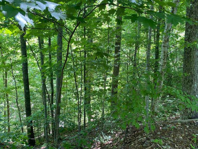 Lots 3 And 4 Ridgefield Dr - Photo 1