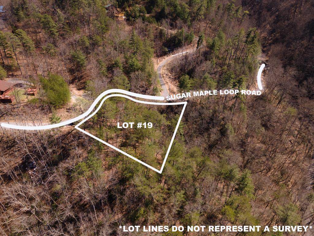 Lot 19 Sugar Maple Loop - Photo 1