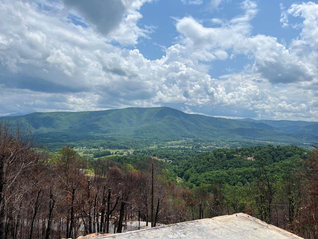 2518 Hatcher Mountain Road - Photo 1