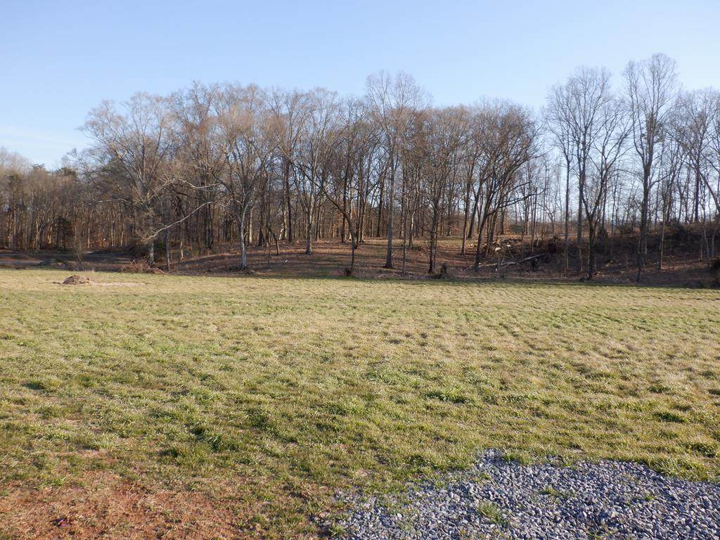 Boyd's Creek - Photo 1