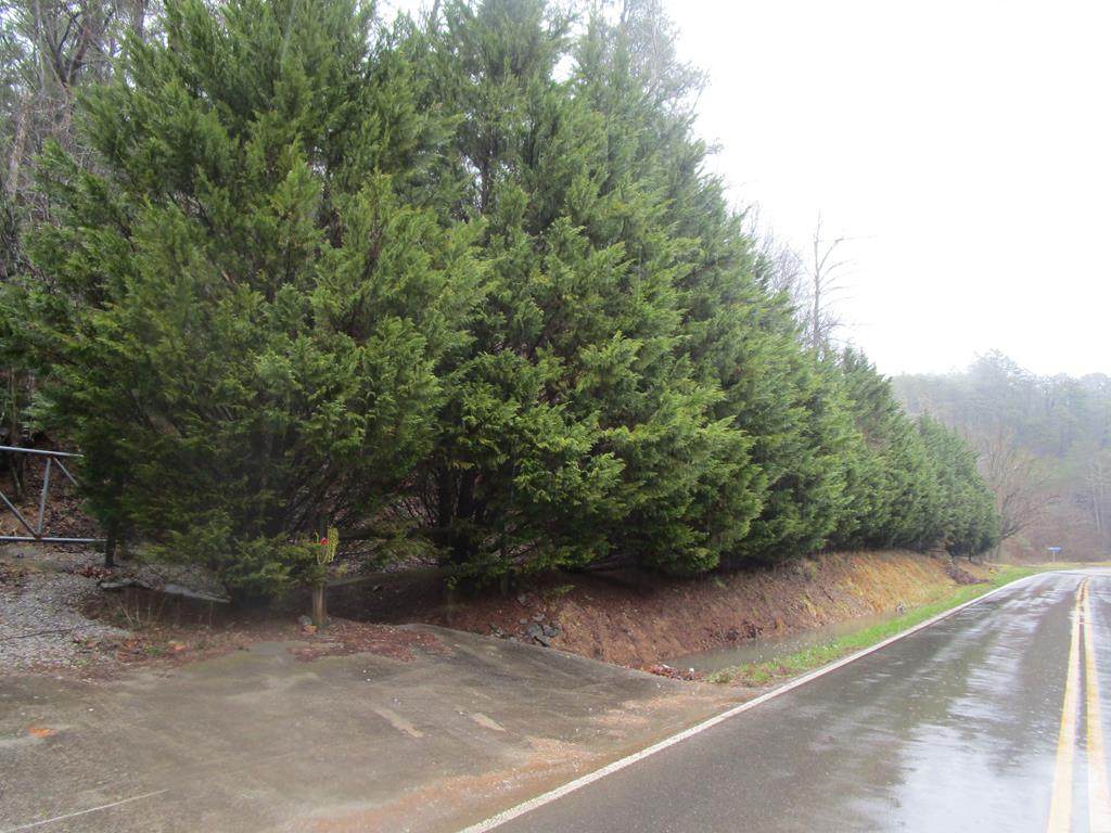 Tiger Lilly Dr - Photo 1