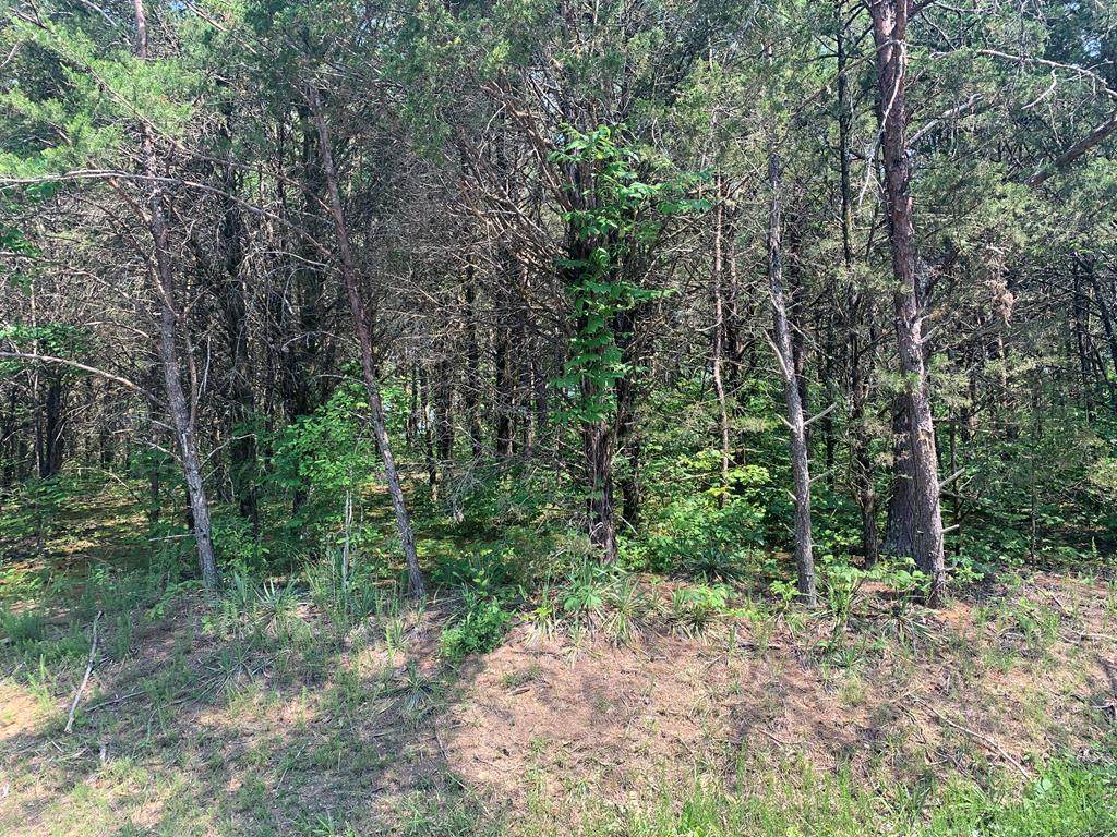 Muddy Creek Road - Photo 1