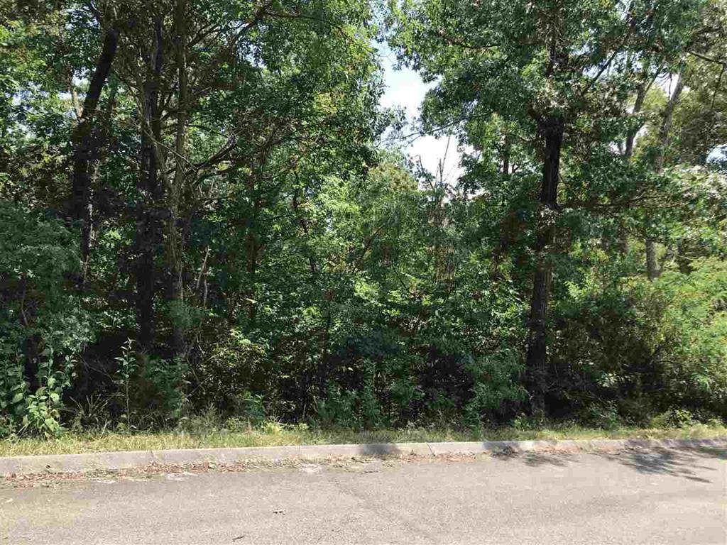 305 Royal Oak Lane - Photo 1